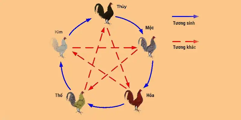 Hướng dẫn coi ngày đá gà bằng ngũ hành