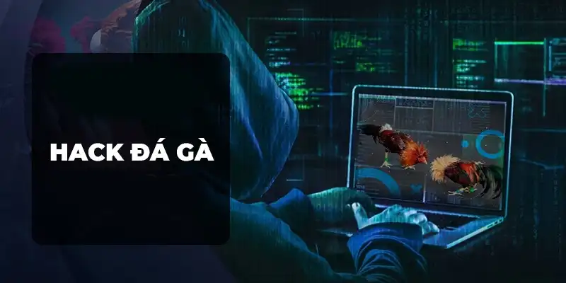 Phần mềm hack đá gà trực tuyến có chính xác không?