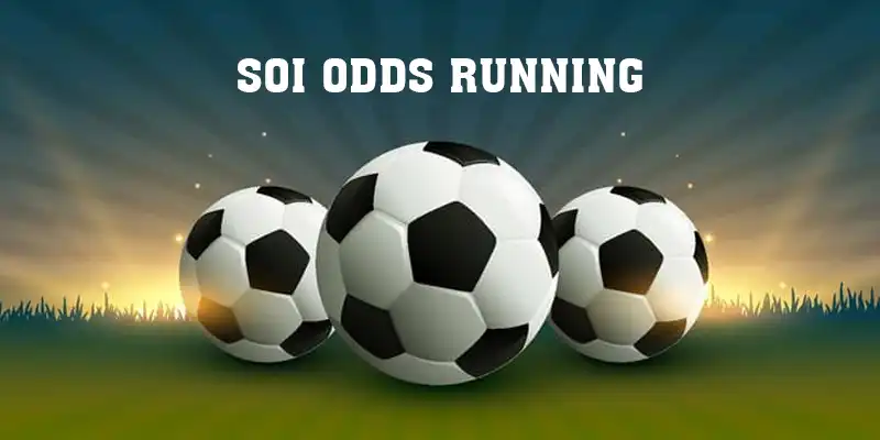 Soi Odds Running - Tổng Hợp 3 Chiến Thuật Từ Cao Thủ