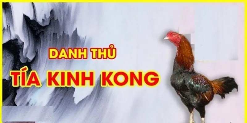 Thời gian trước khi chết của gà