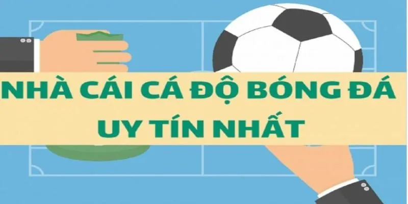 Top trang cá cược World Cup 2024 an toàn